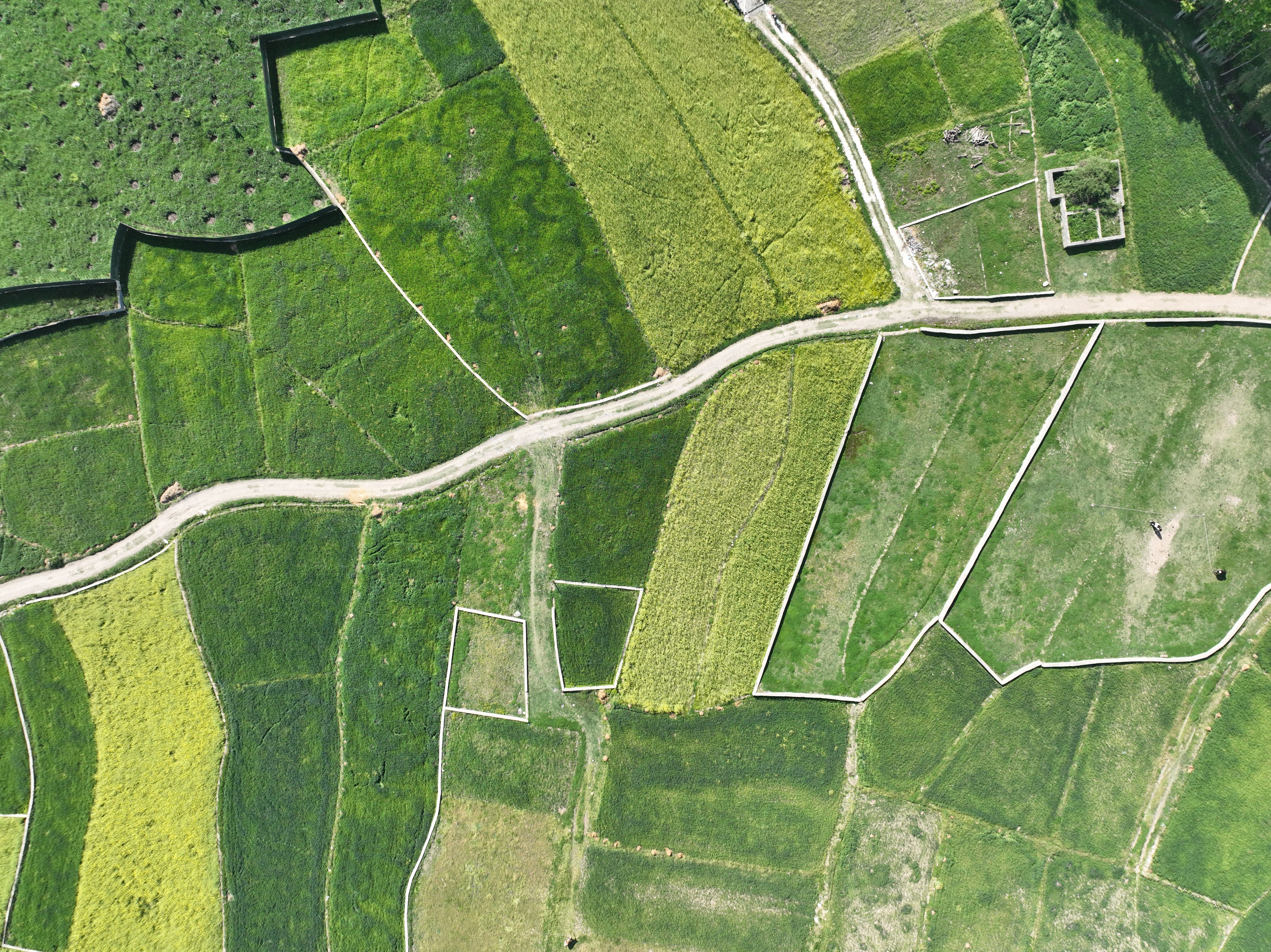 EIA Data Accessor